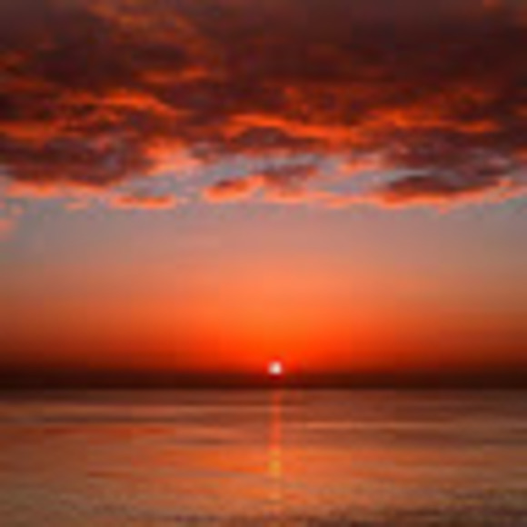 Meet your Posher, Dee - Picture 1 of 1